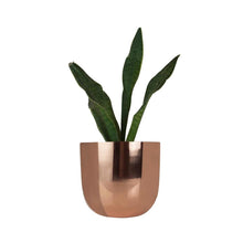 Load image into Gallery viewer, Rose Gold Metal Planter