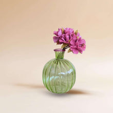 Load image into Gallery viewer, Greenie Beany Glass Flower vase
