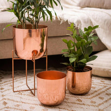 Load image into Gallery viewer, Rose Gold Metal Planter
