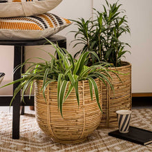 Load image into Gallery viewer, Eco-Friendly Bamboo Baskets set of 2
